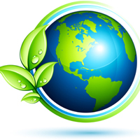 ENVIRONMENT CONSULTANCY